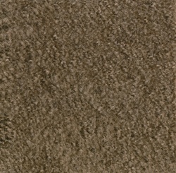 Mt. St. Helens Solids Rug - Mocha - Rectangle - 8'4" x 12' - CFK2112703 - Carpets for Kids