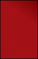 Solid Red Rug - Rectangle - 6' x 9' - LCCPR479 - Learning Carpets