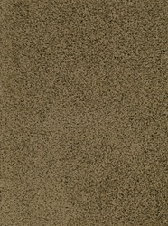 KIDply Soft Solids Rug - Brown Sugar - Rectangle - 8'4" x 12' - CFK51127010 - Carpets for Kids